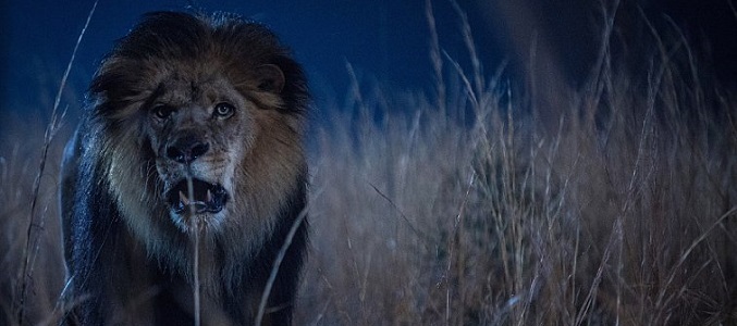 Zoo segunda temporada