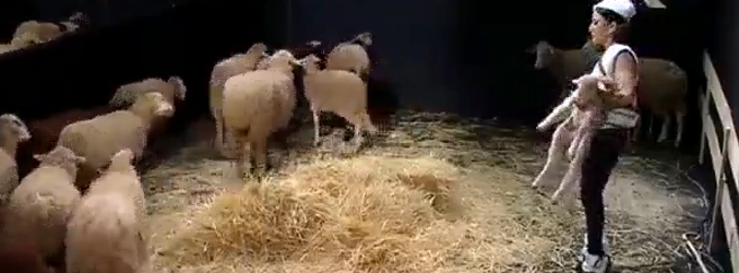 La elección de Maite sobre la prueba semanal hacen estallar a Suso por lo injusto que le parece todo eso