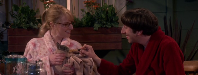 The Big Bang Theory 9x15