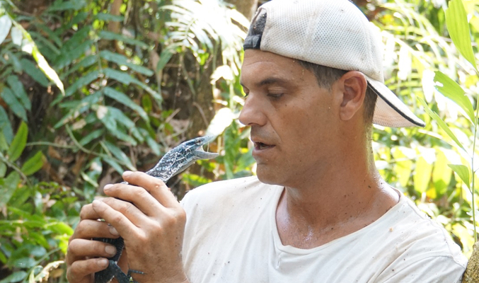 frank cuesta nueva temporada