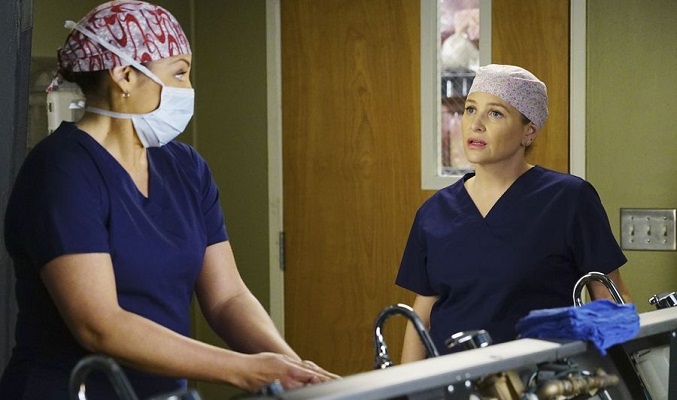 Gery's Anatomy 12x15