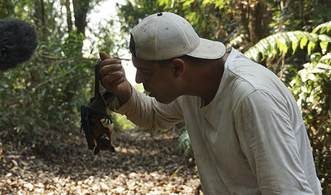 'Wild Frank, en busca del dragón'