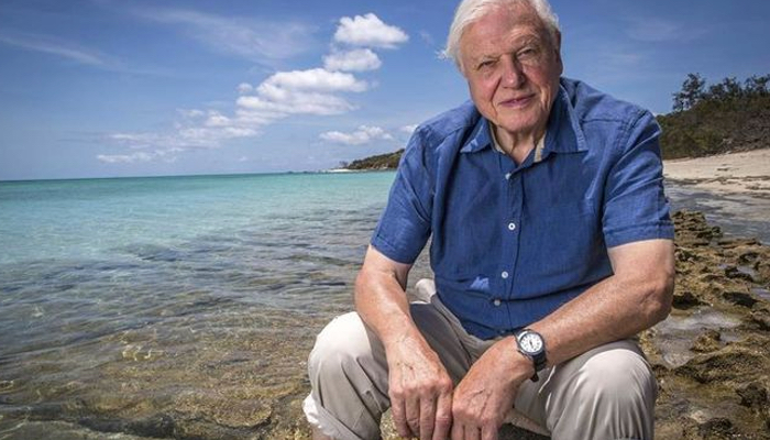 David Atenborough te muestra la gran barrera de coral australiana