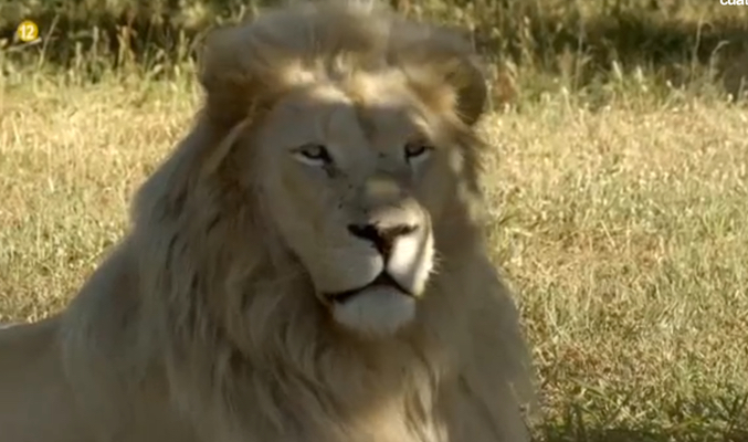 Segundo reportaje de 'En el punto de mira'