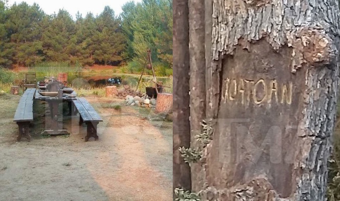 El árbol con la palabra "Croatoan" tallada en su tronco