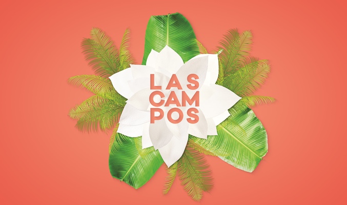 Antonio Rossi, Belén Rodríguez, Carmen Borrego y Mila Ximénez, contertulios del debate de 'Las Campos'