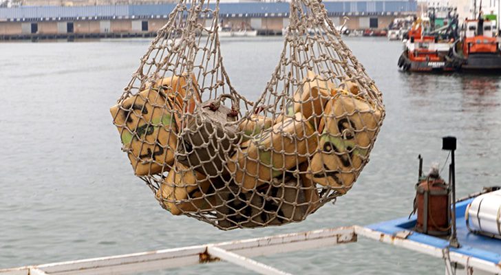 'Control de aduanas: España'