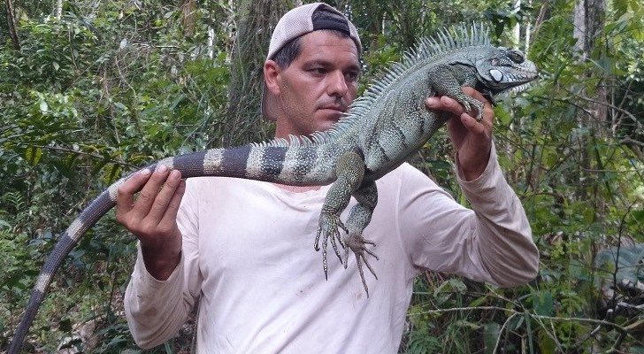 &#39;Wild Frank&#39;