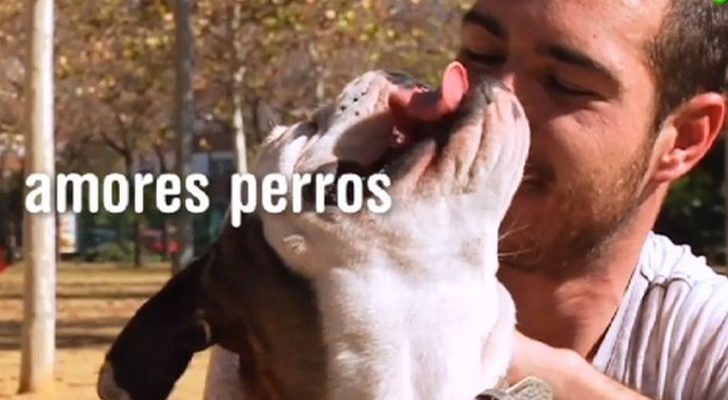 'Amores perros' se estrena el martes 15 de noviembre