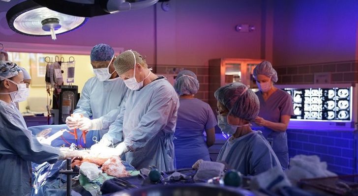 Antomía de Grey 13x08