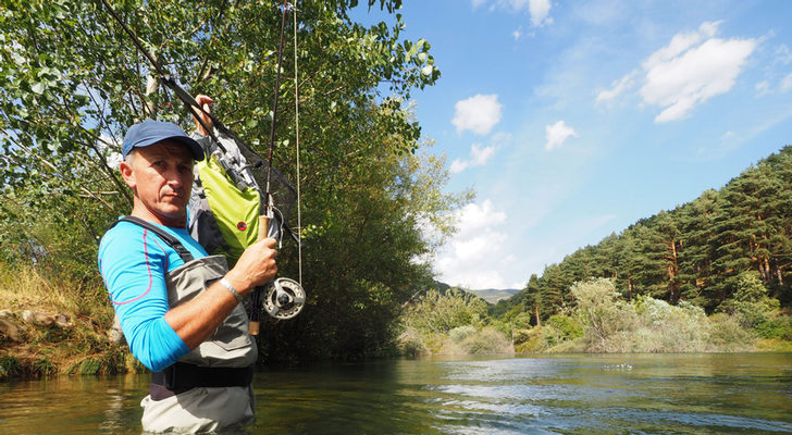 Instantánea tomada de una entrega de 'Un paseo por el bosque de Guisando'