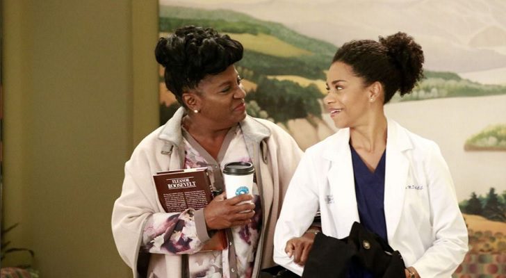 Anatomía de Grey 13x12