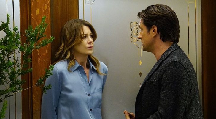 Anatomía de Grey 13x19