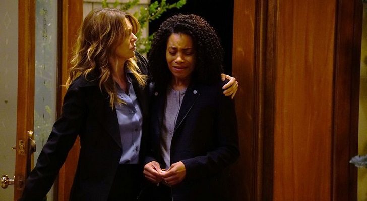 Anatomía de Grey 13x19