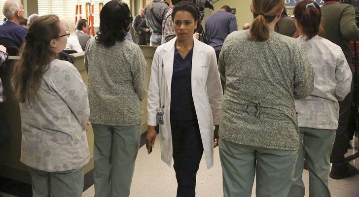 Anatomía de Grey 13x21