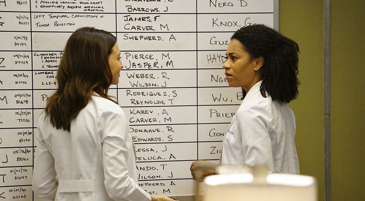 Anatomía de Grey 13x22