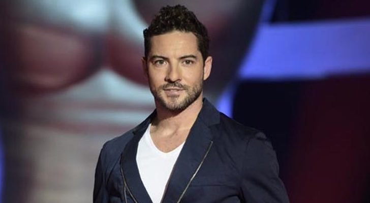 David Bisbal defiende a Manel Navarro