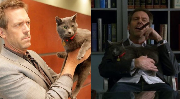 El actor Hugh Laurie