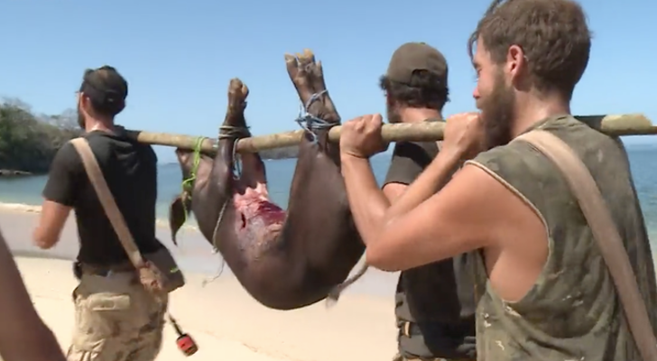 Los concursantes de 'La isla' capturan a un cerdo