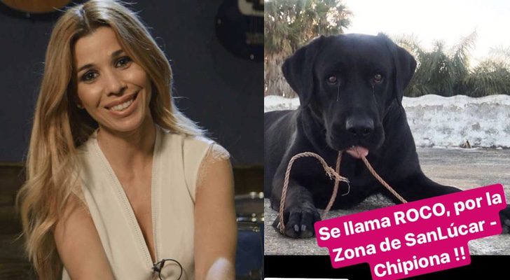 Natalia y su perro desaparecido