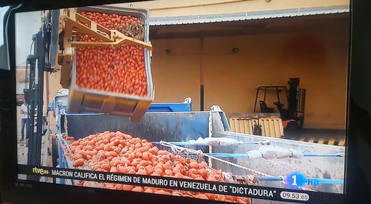 La 1 informa de la Tomatina de Buñol