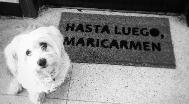 La mascota y el felpudo de Inma Cuesta