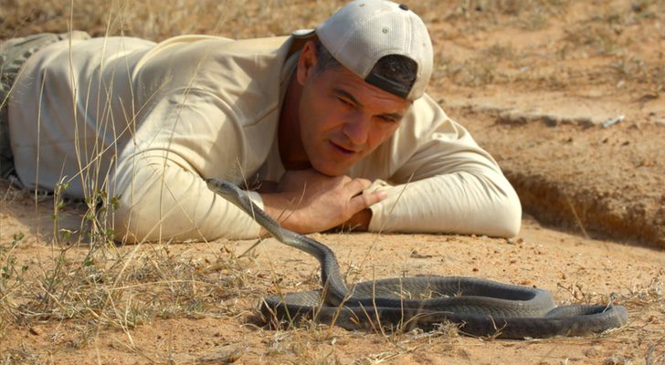 'Wild Frank' viaja a África en busca de la mamba negra