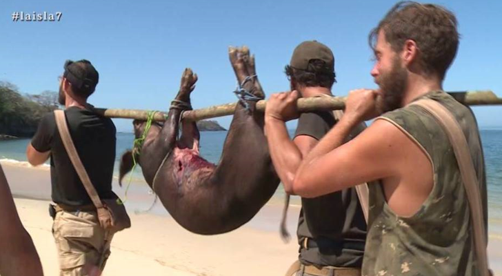 Un participante de 'La isla' después de cazar un cerdo