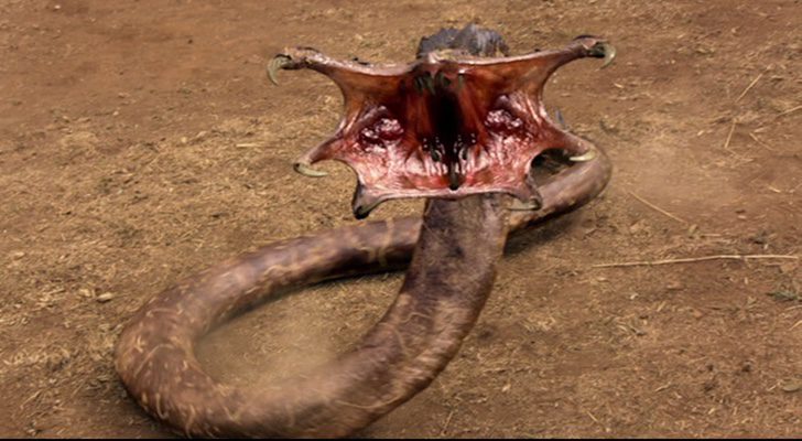 Los graboids de "Tremors"