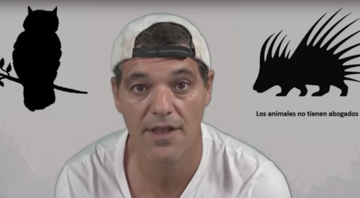 Frank Cuesta, indignado por el vídeo viral de un pingüino