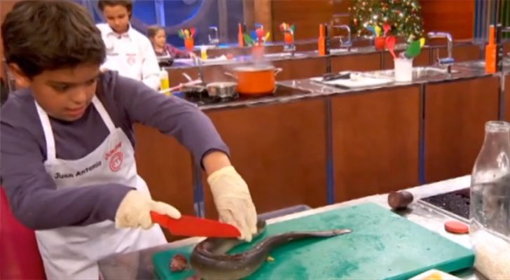Juan Antonio con el anguila en 'MasterChef Junior 5'
