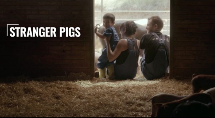 Imagen inicial del programa sobre la industria cárnica de &#39;Salvados&#39;, en una granja ecológica
