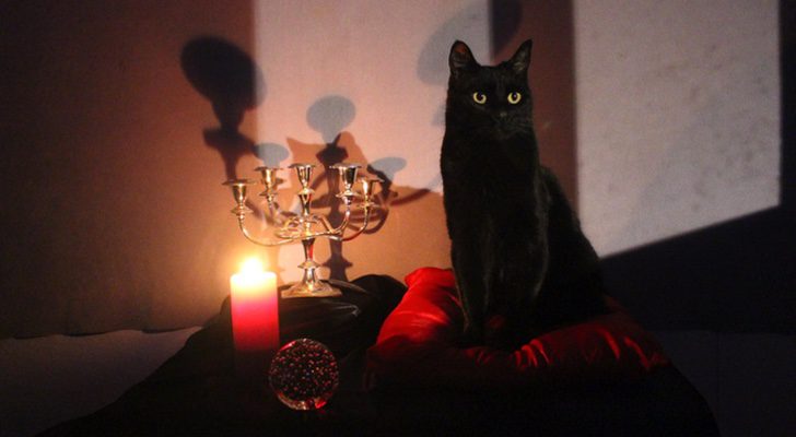 Salem, el gato parlante en el reboot de 'Sabrina, cosas de brujas'