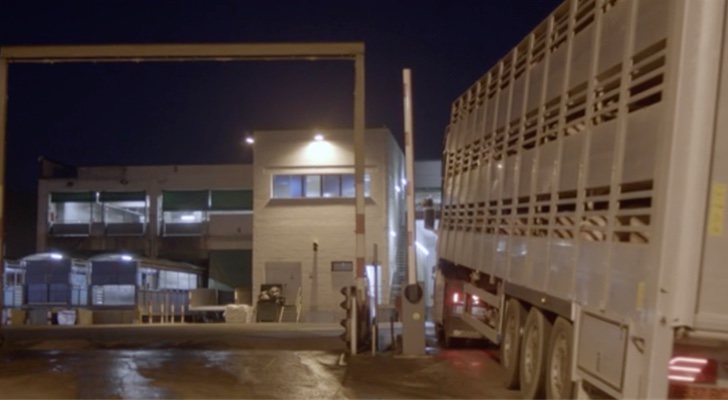 Instalaciones de Le Porc Gourmet en &#39;Salvados: Stranger Pigs&#39;