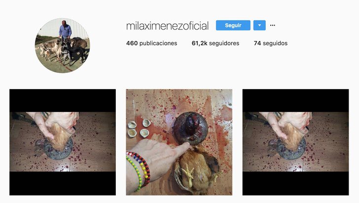 La cuenta de Instagram de Mila Ximénez