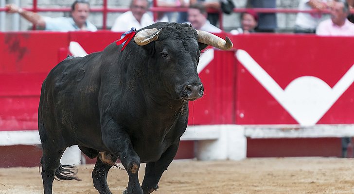 À Punt no retransmitirá corridas de toros