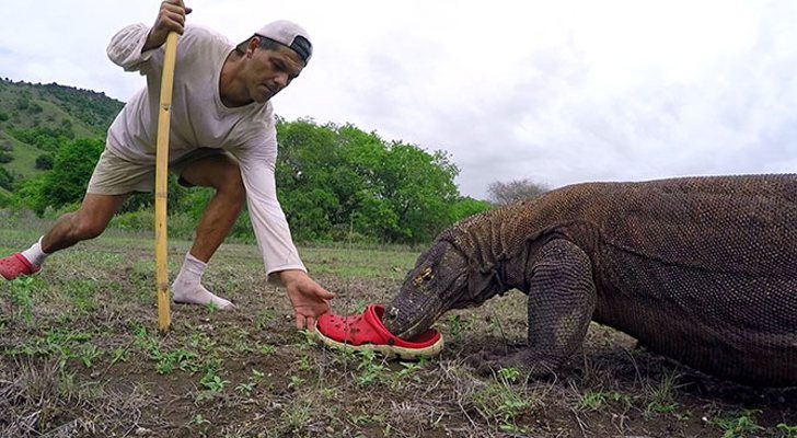 Imagen de 'Wild Frank'