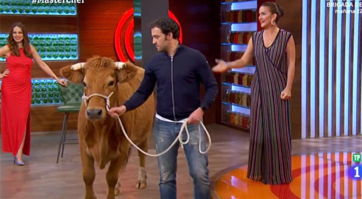 La "ternera rubia gallega" en 'MasterChef 6'