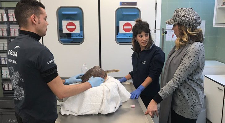 Gisela visita la fundación CRAM en &#39;La meva mascota i jo&#39;