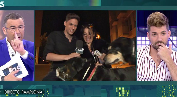 Los perros de Maite Galdeano copulando durante su entrevista en 'Sábado deluxe'