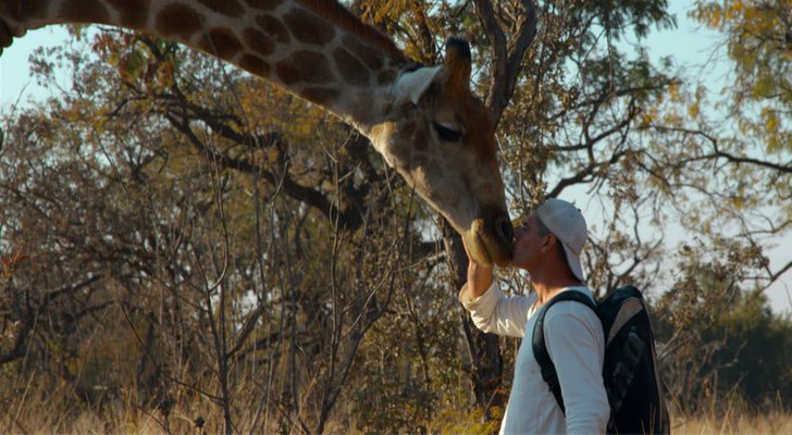 Frank Cuesta besando a una jirafa en 'Wild Frank'