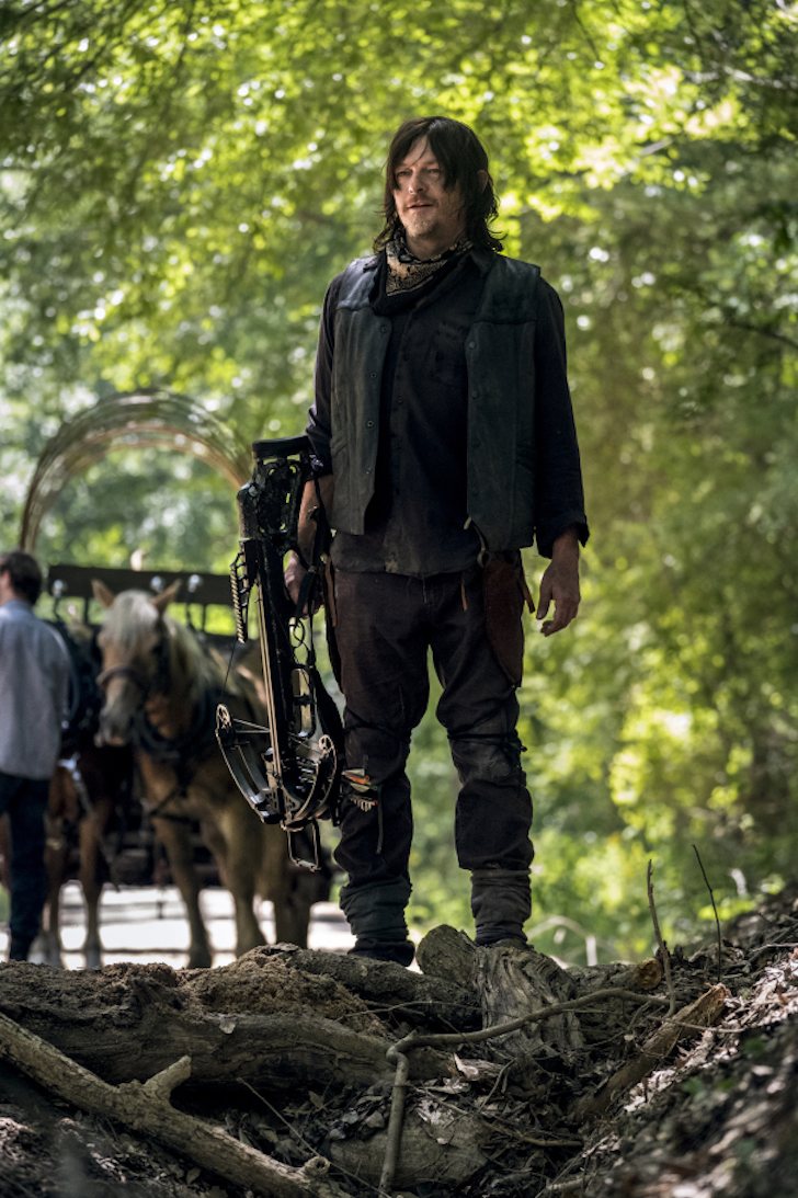 Norman Reedus como Daryl