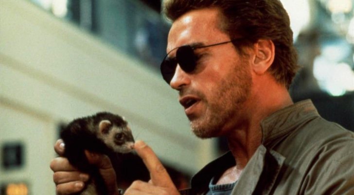 &quot;Poli de guardería&quot;