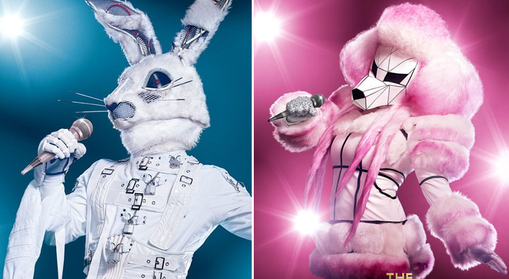 'The Masked Singer'