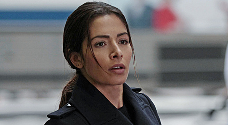 Sarah Shahi en &#39;Person of Interest&#39;