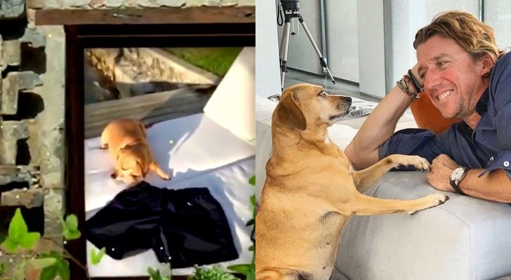 Cebo en la promo de 'Supervivientes 2019' y Colate junto a su mascota