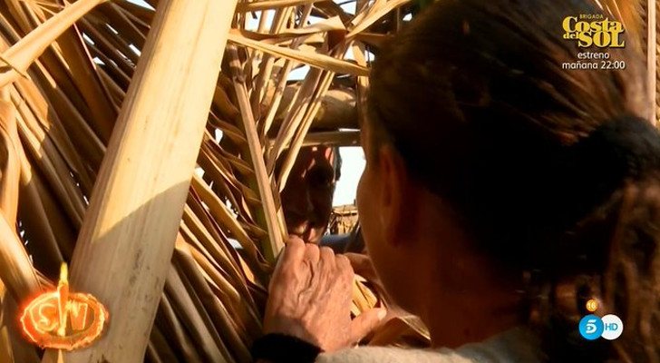 Isabel y Colate comparten confidencias a través de la valla