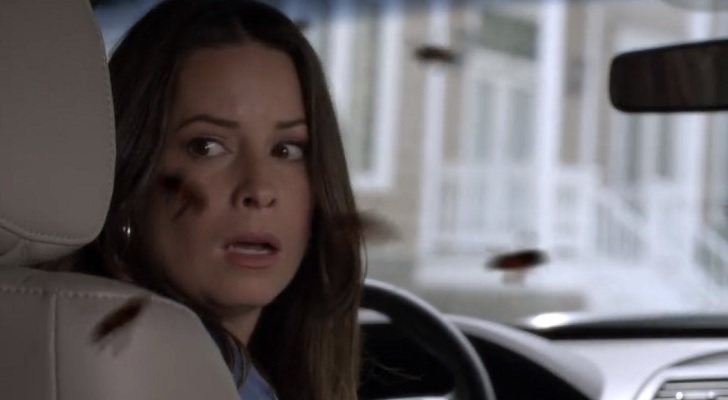 Ella es atacada por unas abejas en &#39;Pequeñas mentirosas&#39;