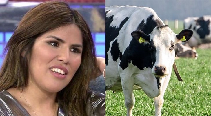 Chabelita Pantoja y una vaca blanca y negra