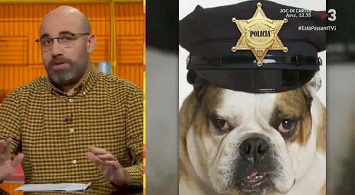 Magí Modgi y una imagen de un perro con gorra de policía